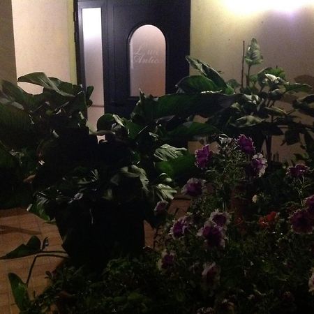 L' Aia Antica Bed & Breakfast Veroli Exterior photo