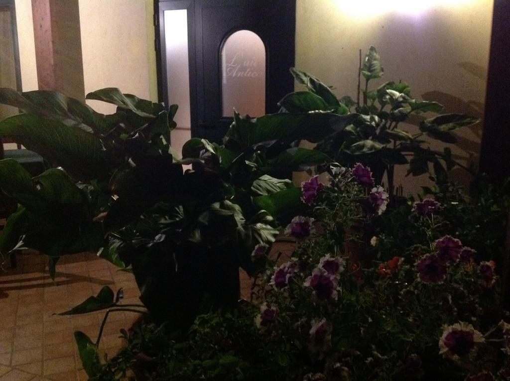 L' Aia Antica Bed & Breakfast Veroli Exterior photo
